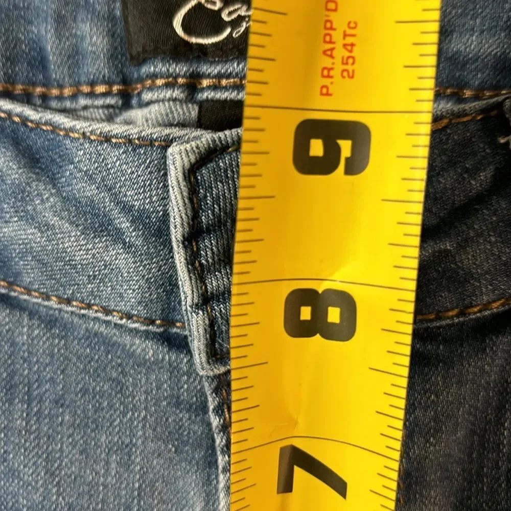 Earl Jeans Straight Leg size 6.  med wash stretch festival closet staple